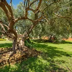 Erica Yuri Villa San Pietro
